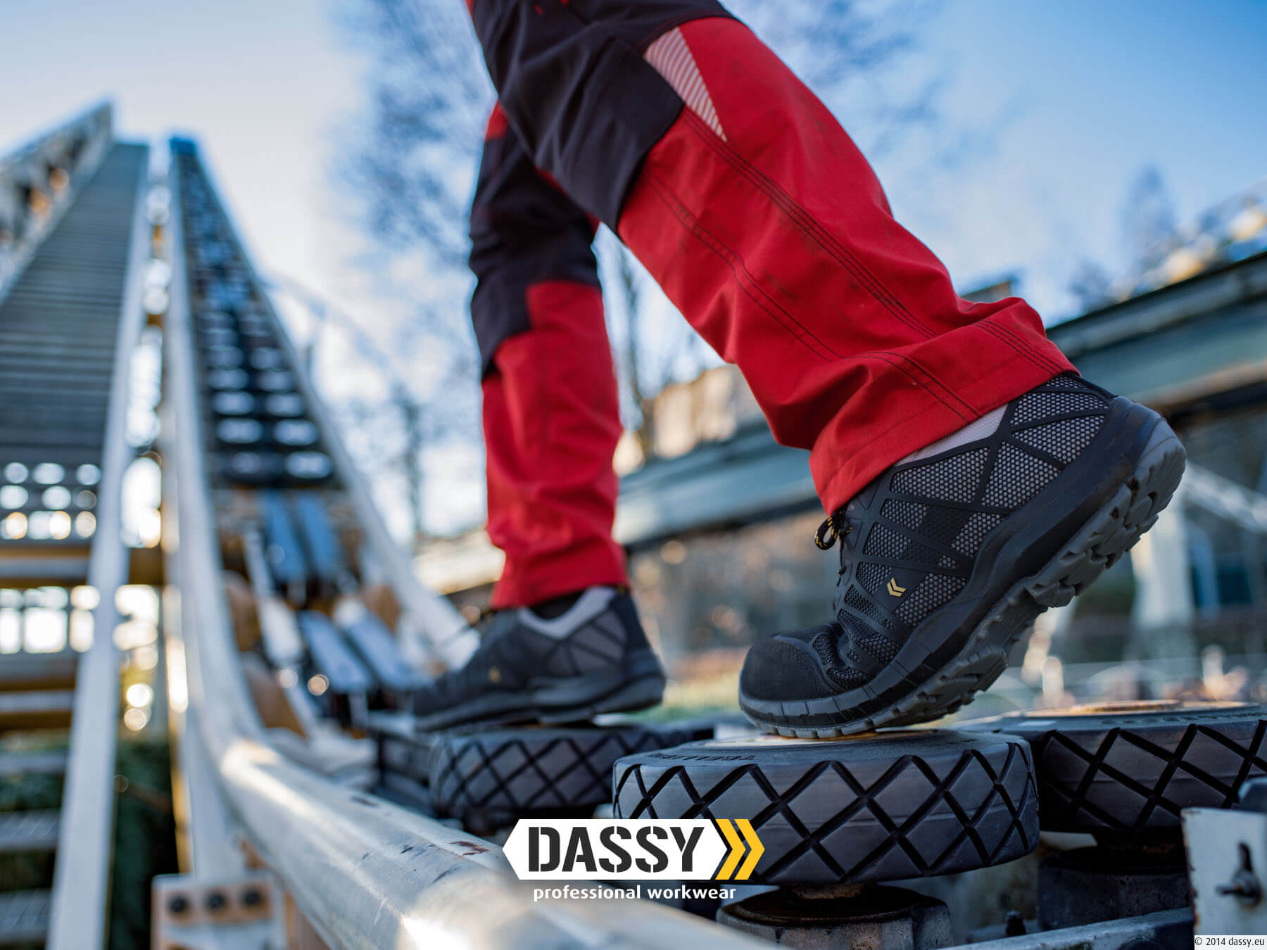 Dassy FLUX